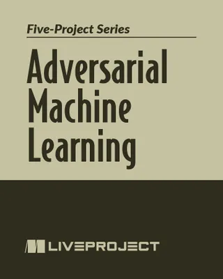 Adversarial Machine Learning