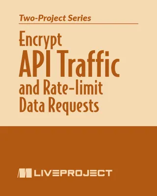 Encrypt API Traffic and Rate-limit Data Requests