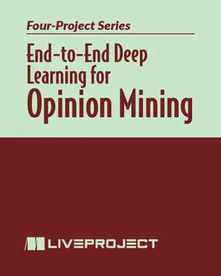 End-to-End Deep Learning for Opinion Mining
