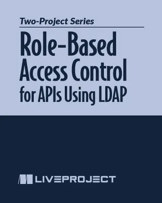 Role-Based Access Control for APIs Using LDAP